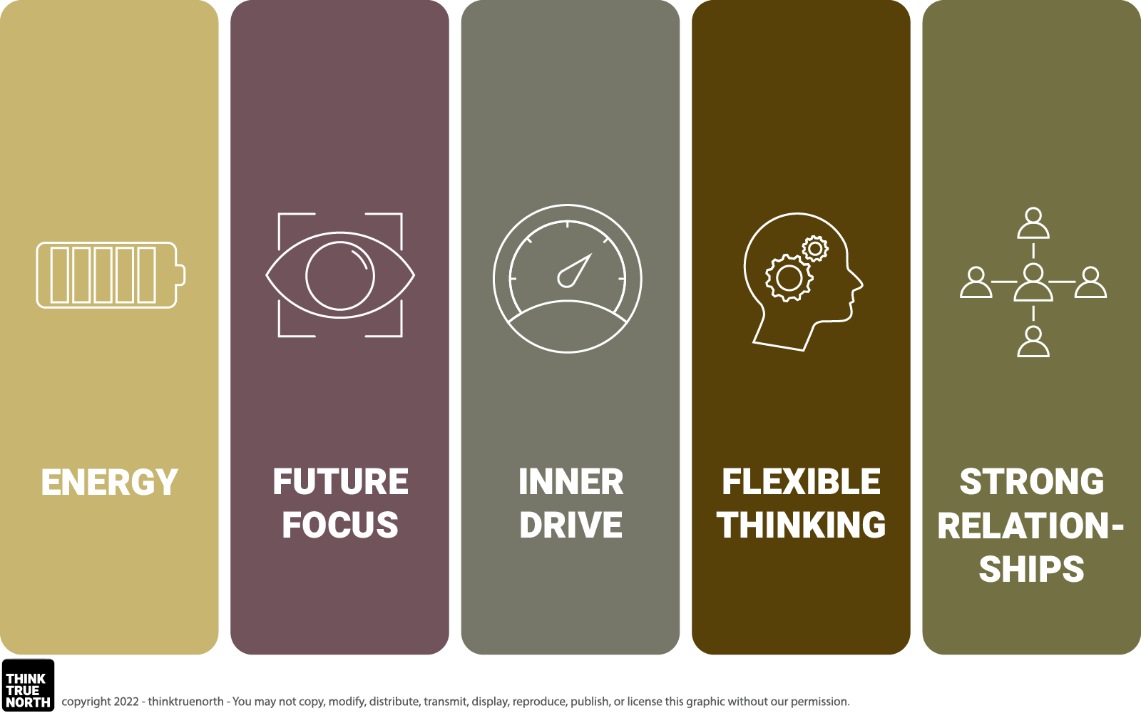 5 Pillars Of Resilience Two Concepts Thinktruenorth